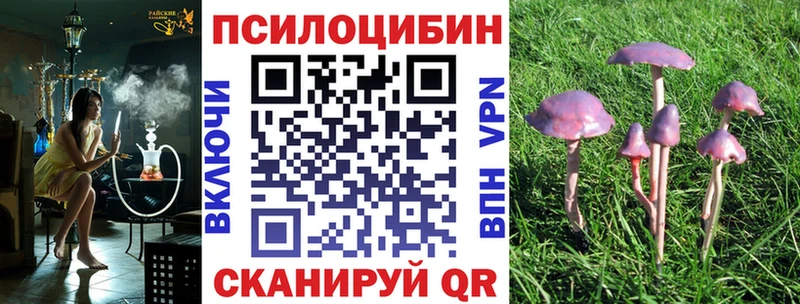 Галлюциногенные грибы Cubensis  Купить  Валдай 
